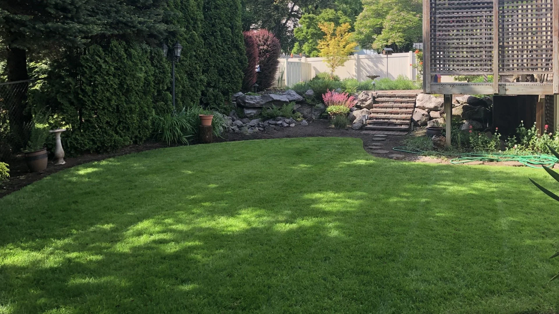 Can You Treat Weeds on Your Lawn After Overseeding?