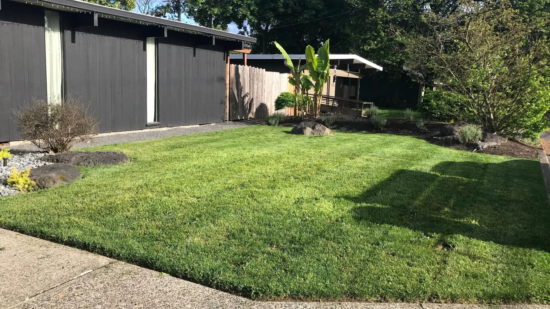 Does Overseeding Help Reduce Weeds on Your Lawn?
