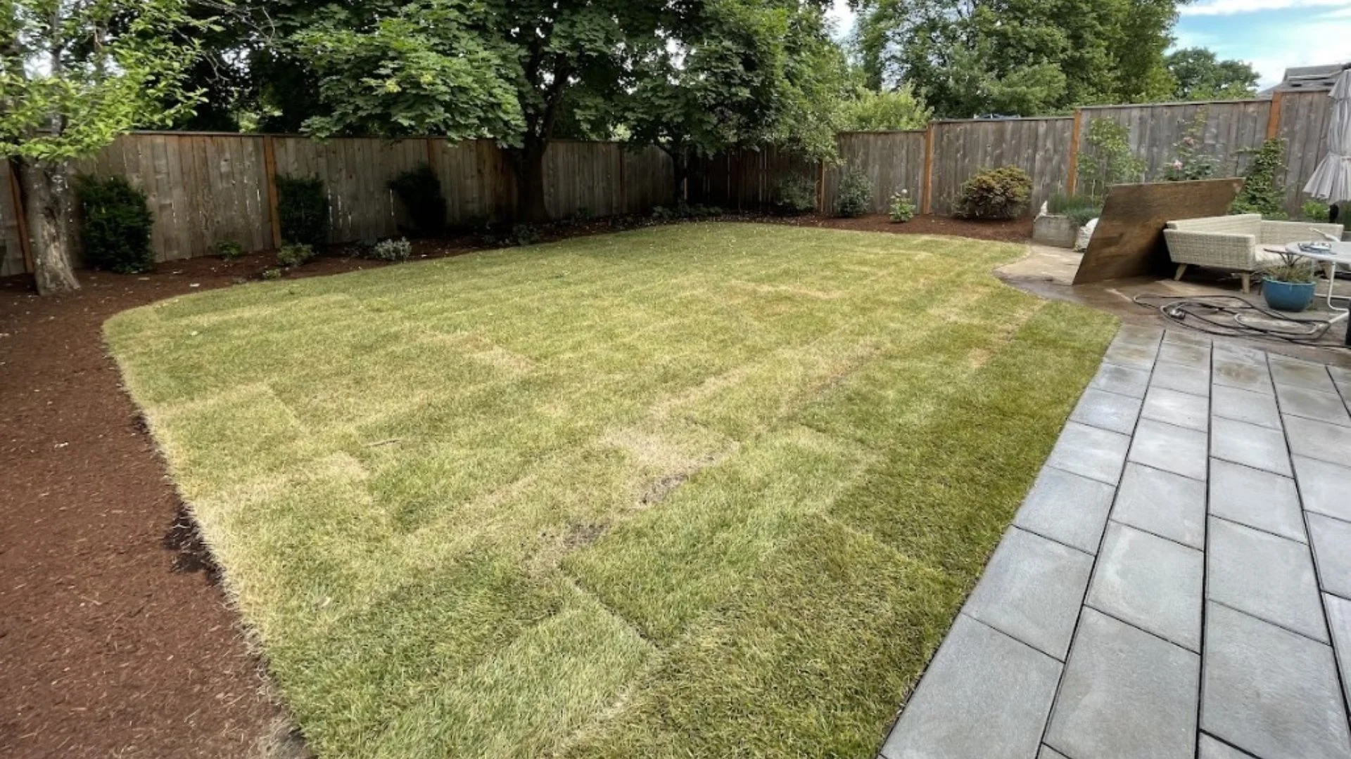 How Often Should Sod Be Watered Right After Installation?
