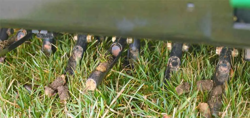 Fall Aeration Can Repair Damage to Your Lawn