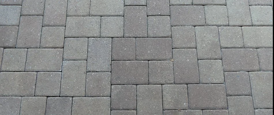 Concrete paver patio in Portland, OR.