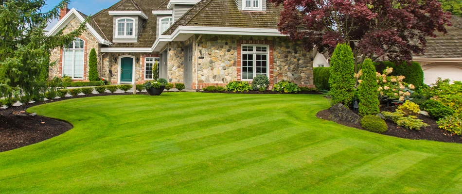 Front lawn mowed with fall clean up service in Gresham, OR.