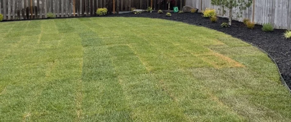 Sod installed near landscaping on a property in Gresham, OR.