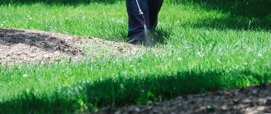 Professional applying weed control to a lawn in Gresham, OR.