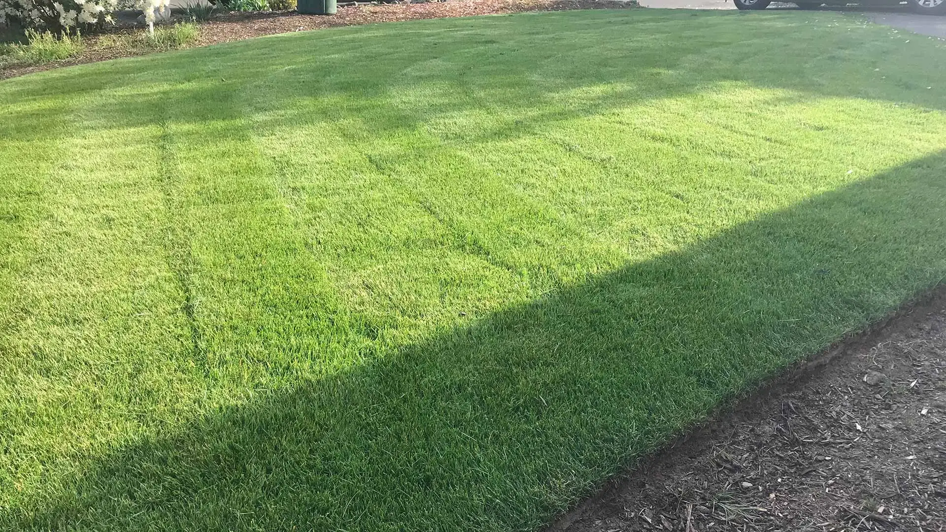 A recently mowed and fertilized lawn in Troutdale, OR.