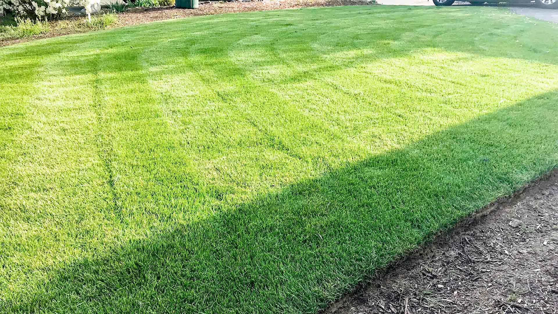 Recently mowed home lawn in Happy Valley, OR.