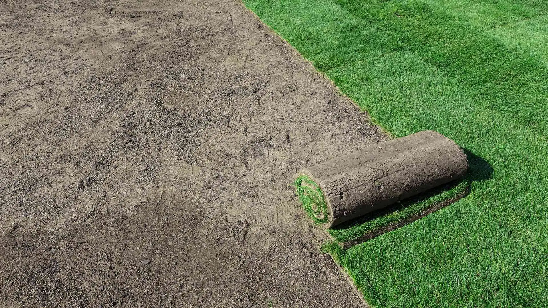 Professional sod installation in Clackamas near Portland, OR.