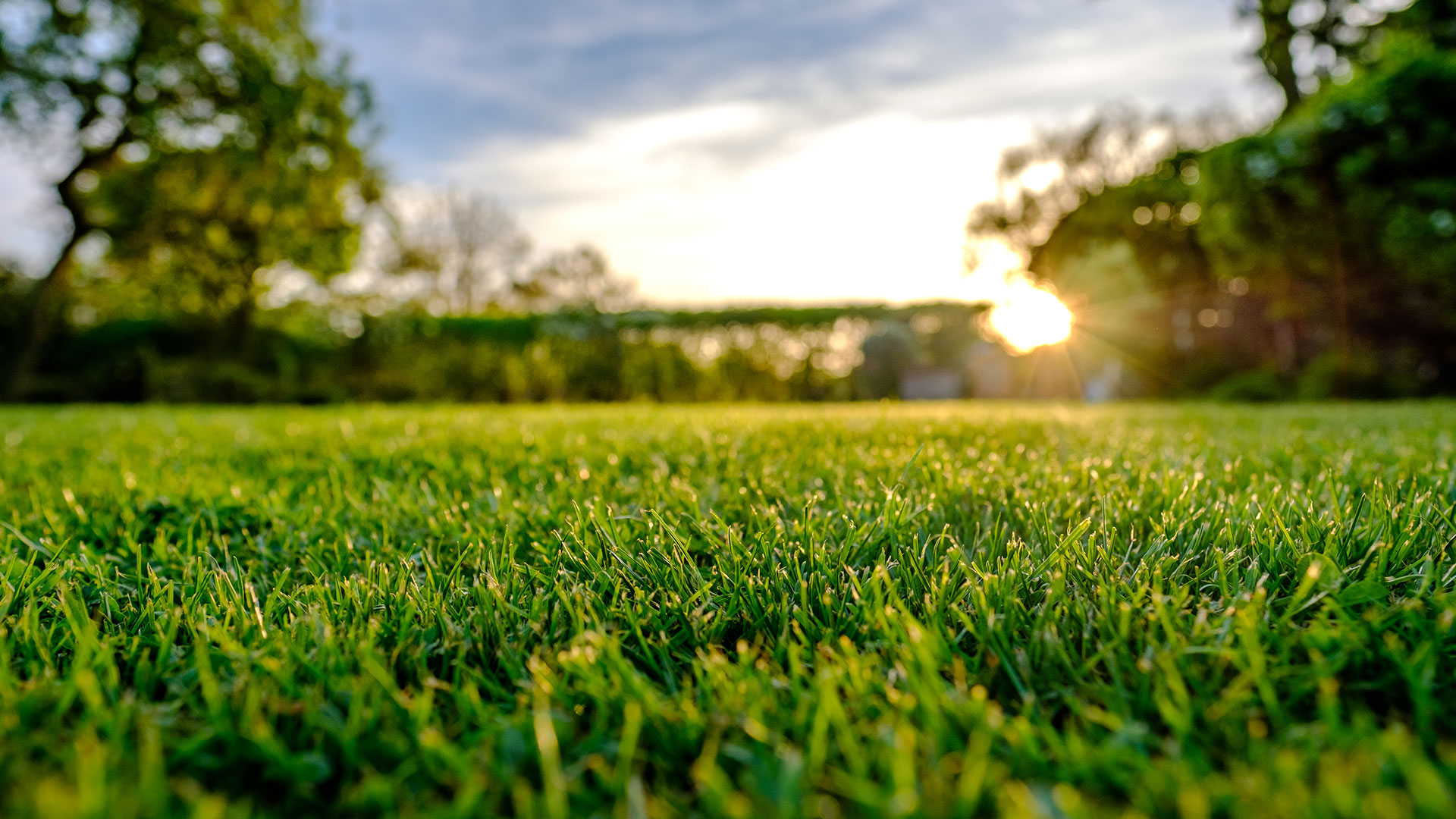Lawn mowed, fertilized and maintained by J&C Lawn Care in Gresham, OR