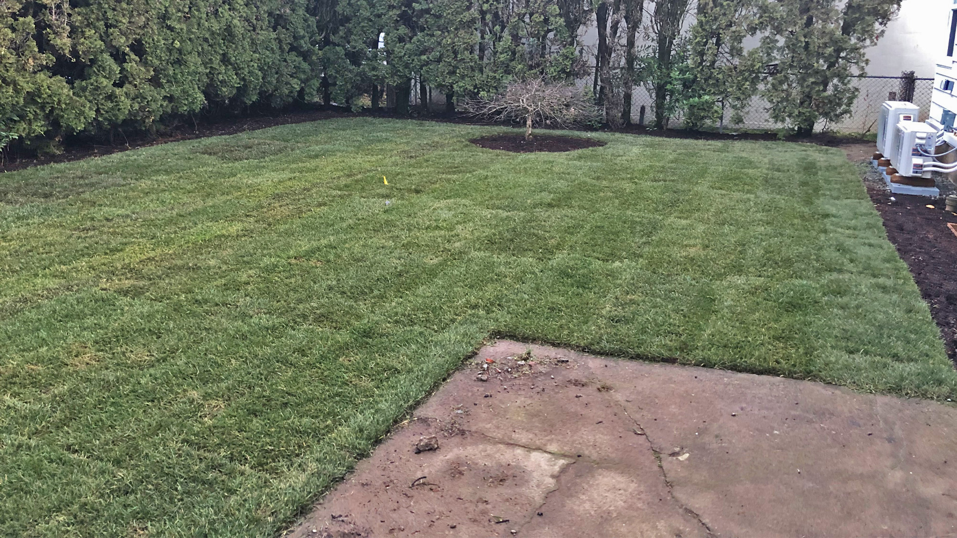 Sod installation at a home property in Tigard, OR.