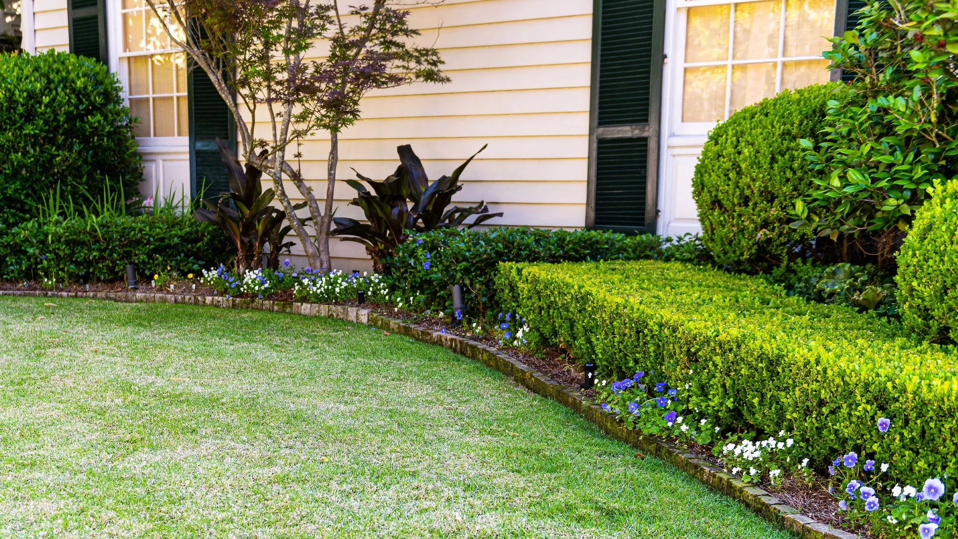 Perfectly trimmed shrubs along a landscaping bed at a property in Happy Valley, OR.