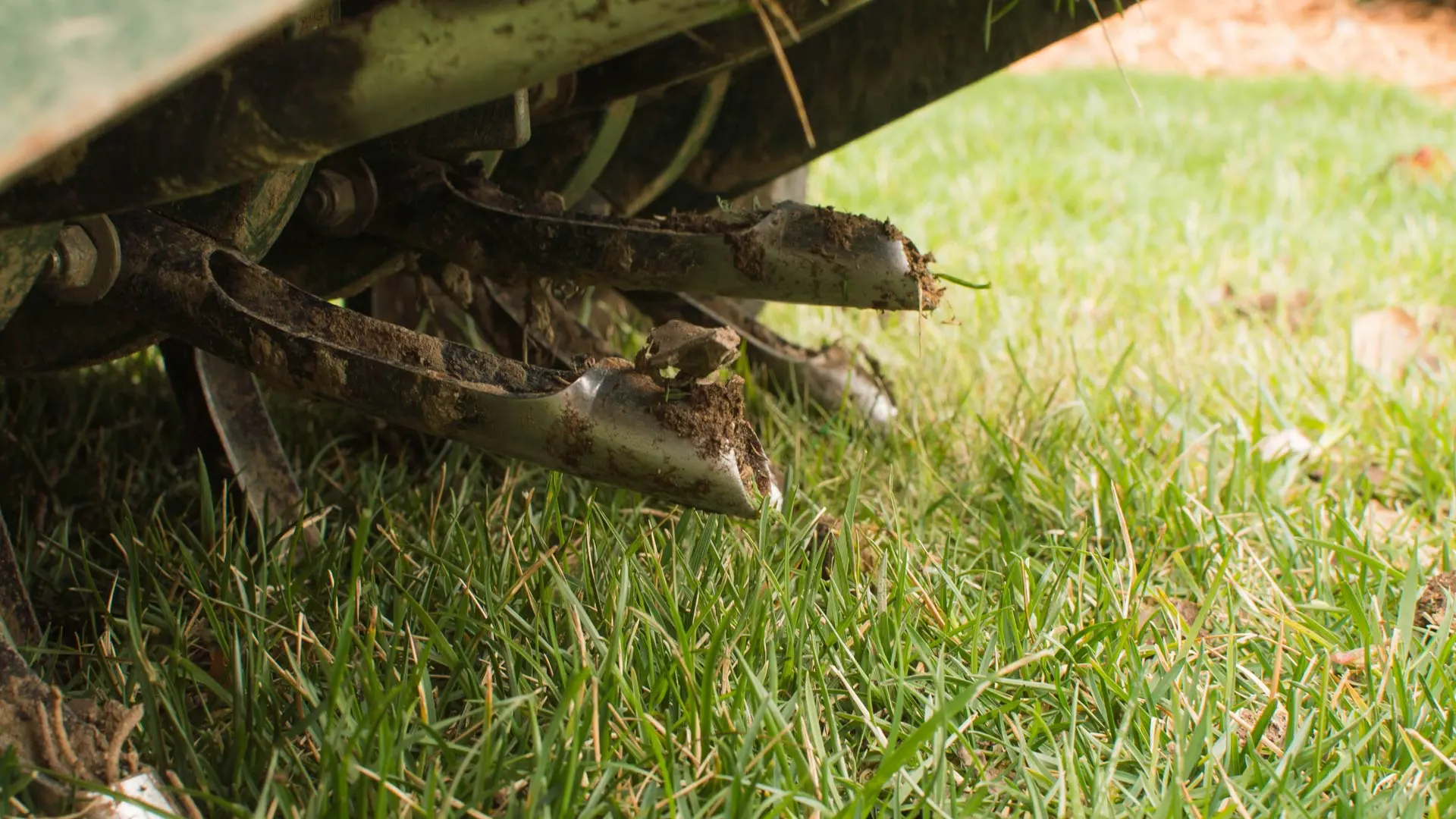 Why You Should Always Hire Pros to Aerate Your Lawn