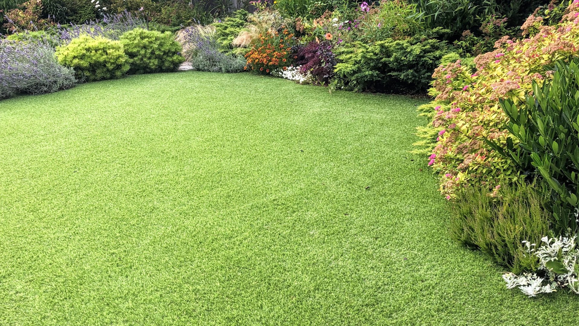 Should You Use Artificial Turf or Sod for Your New Lawn?