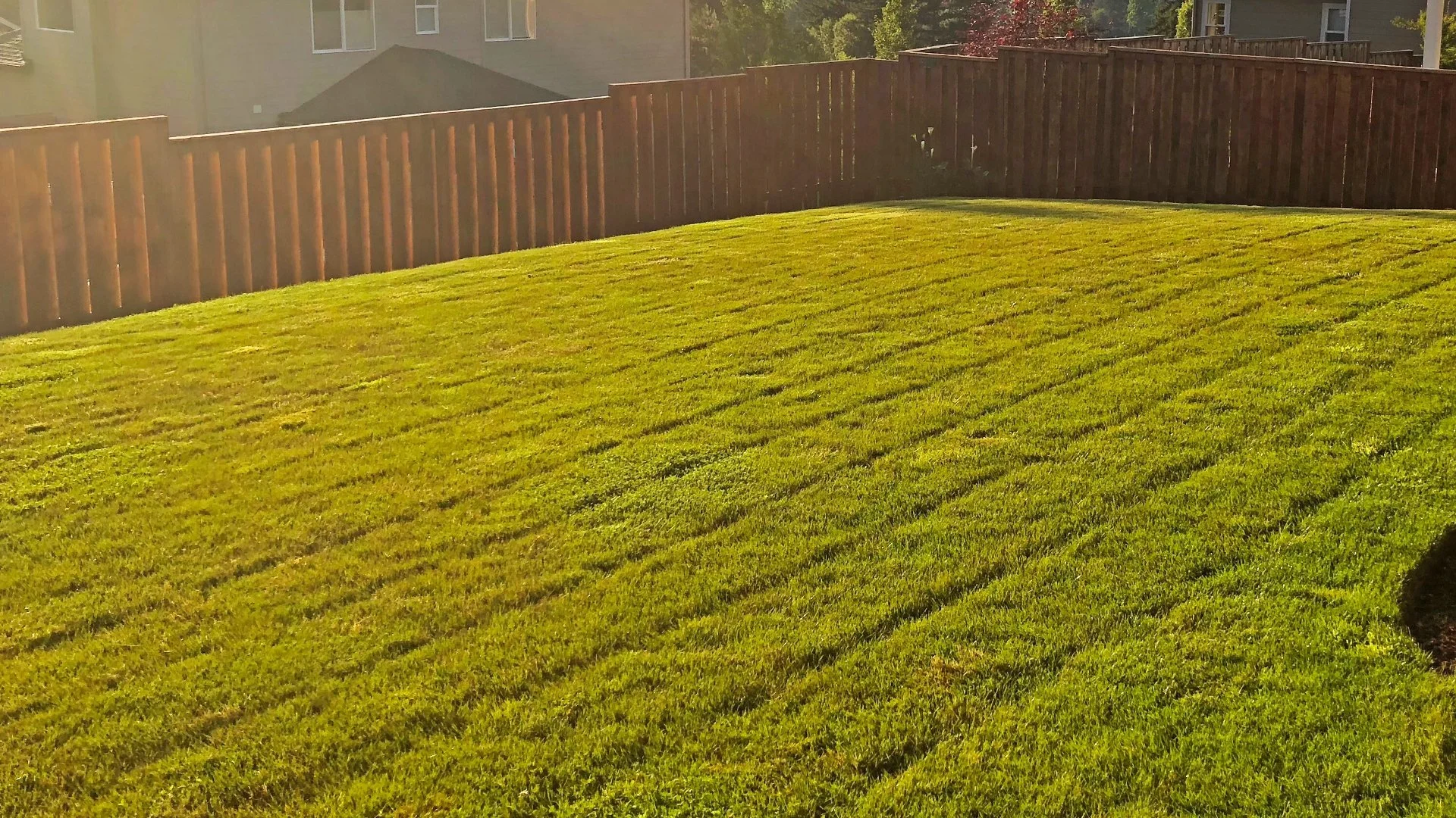 Mow Your Lawn Before Fertilizing It for the First Time in the Spring