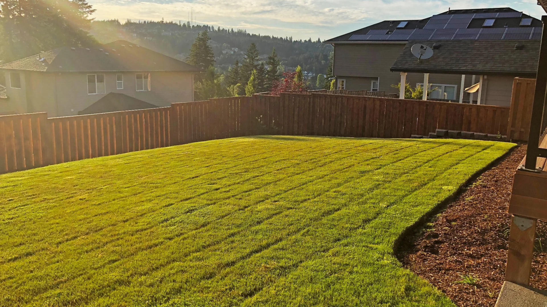 Hold Off on Mowing Your Lawn After It Rains