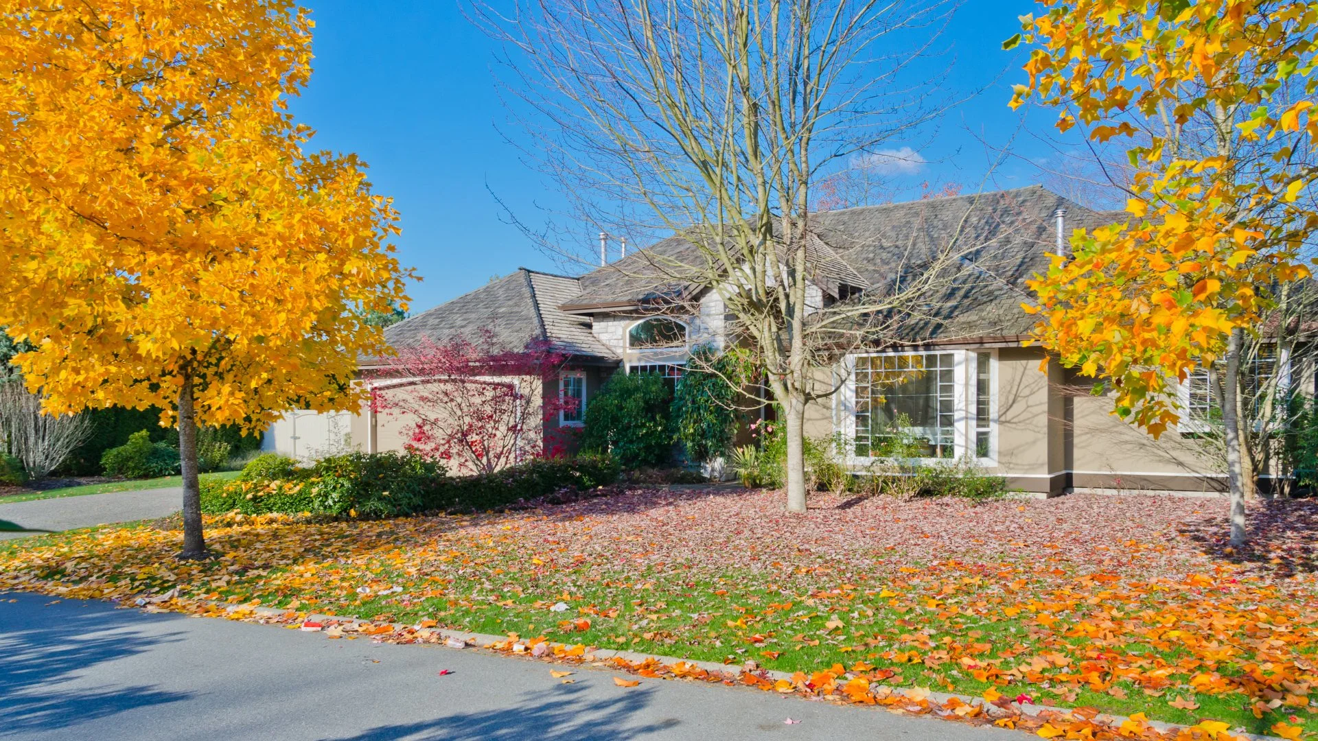 How Much Will It Cost to Hire a Professional Leaf Removal Company?