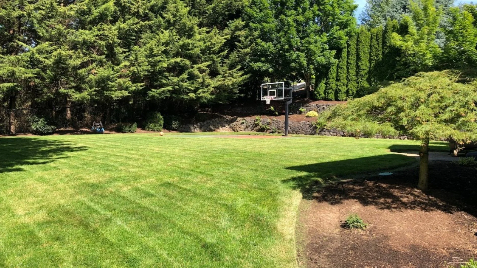 Why Are There Ruts on Your Lawn After Mowing?