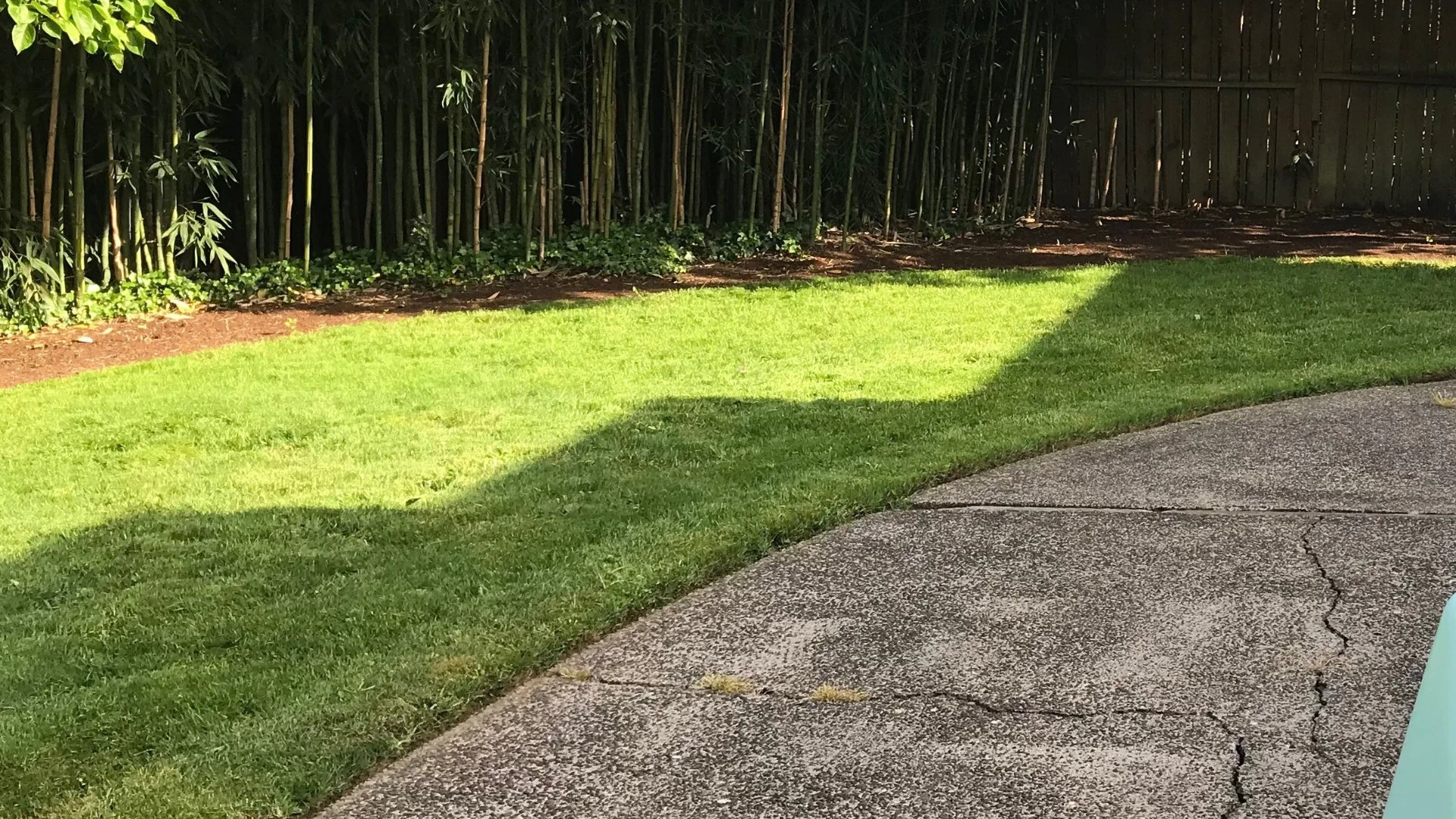 What Are the Signs That Your Lawn Needs to Be Fertilized?