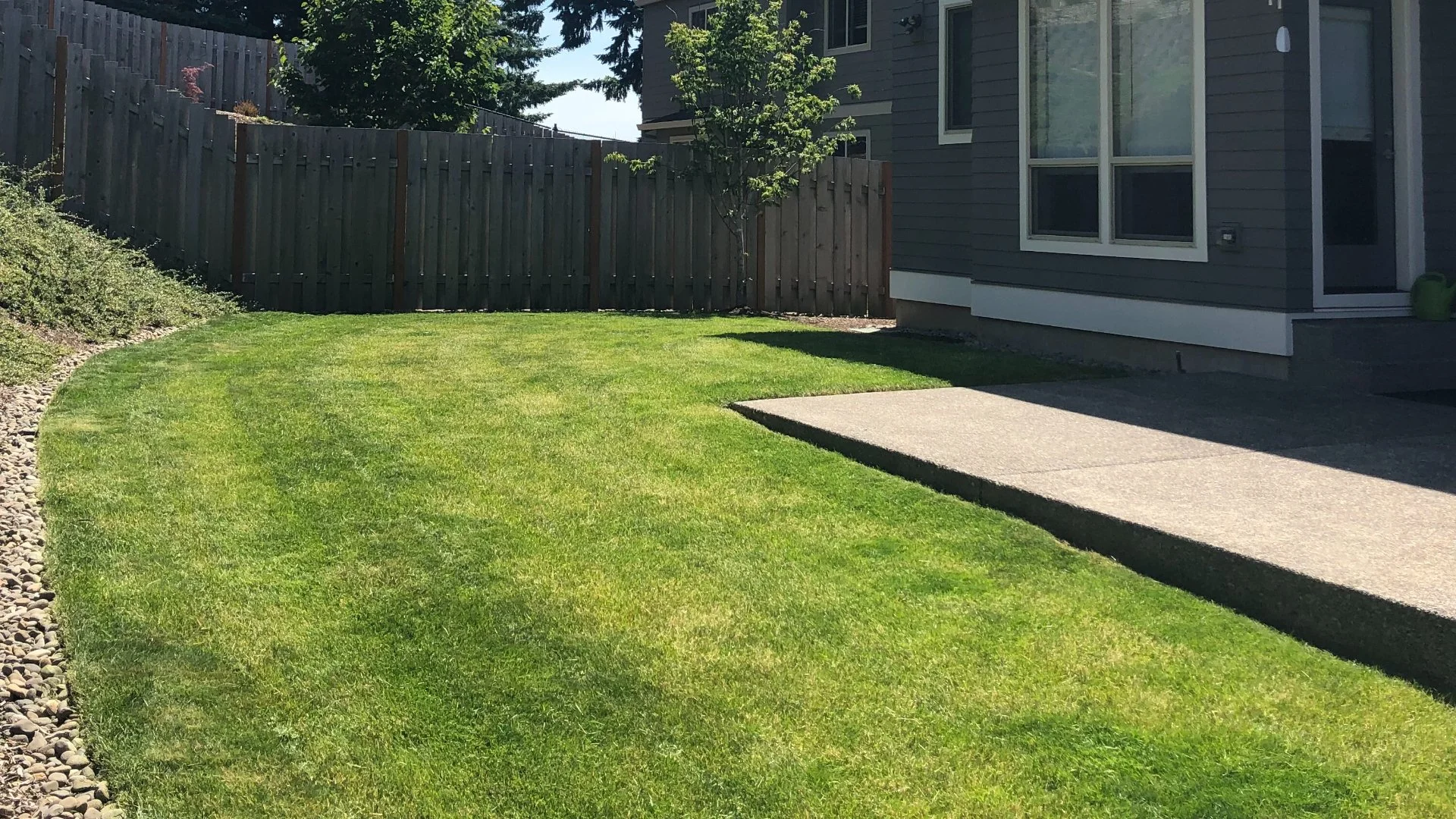 What Causes Weed Control Treatments to Fail?