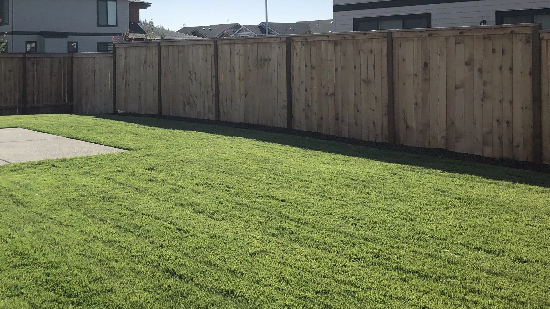 Is It Necessary to Wait Until After It Rains to Fertilize Your Lawn?