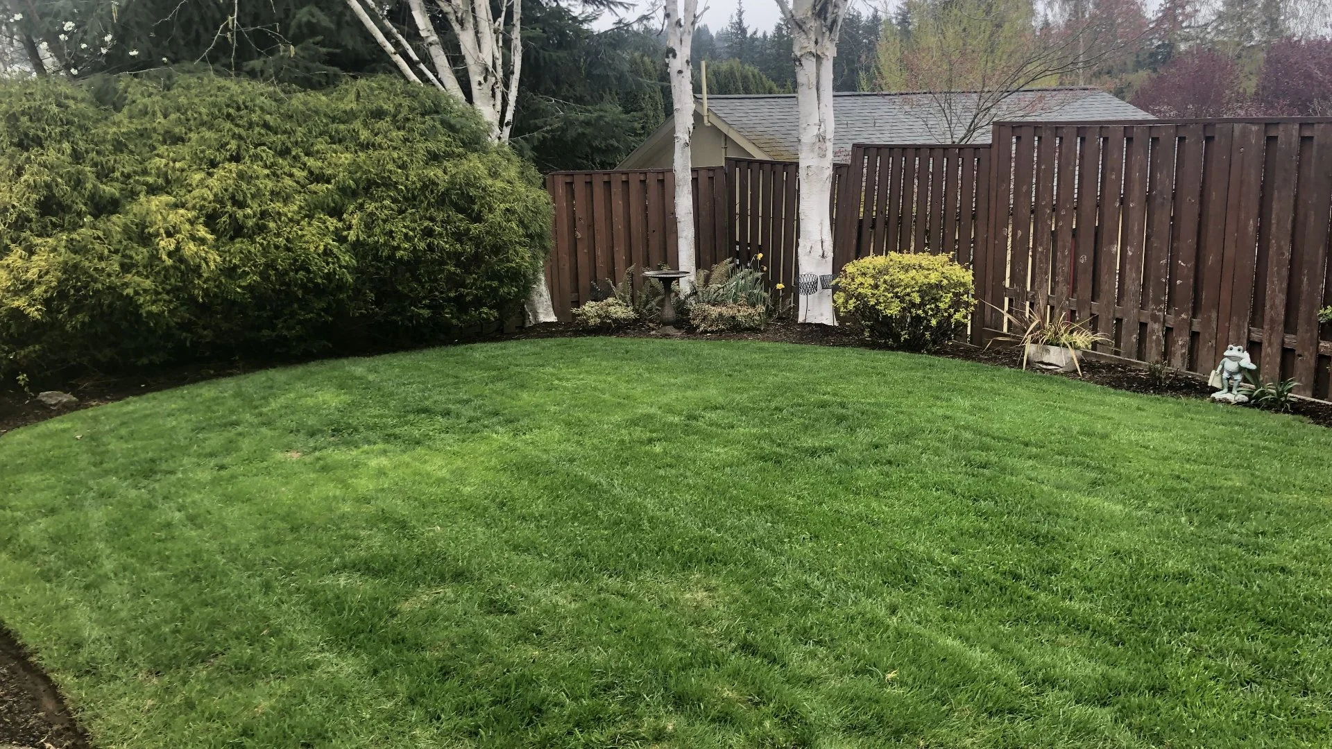 Does Applying Weed Control Hurt Your Lawn?