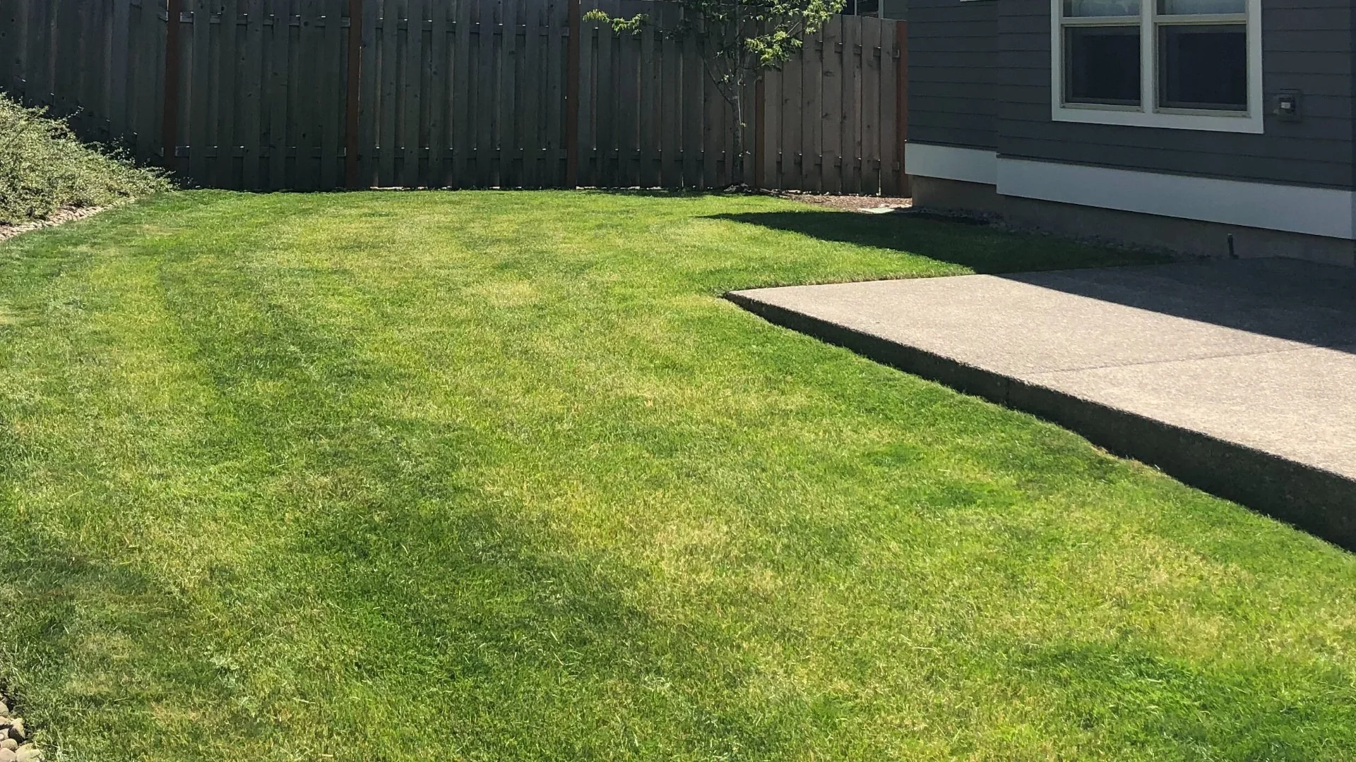 Does Soil Temperature Matter for Spring Pre-Emergent Weed Control?