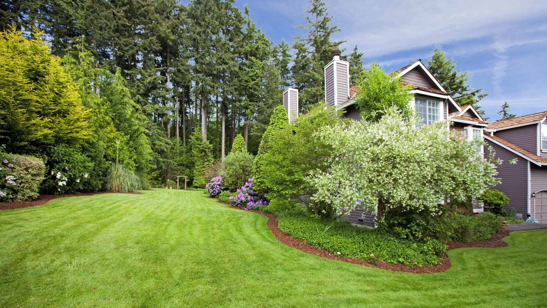 Your Guide to a Healthy Lawn & Landscape This Summer