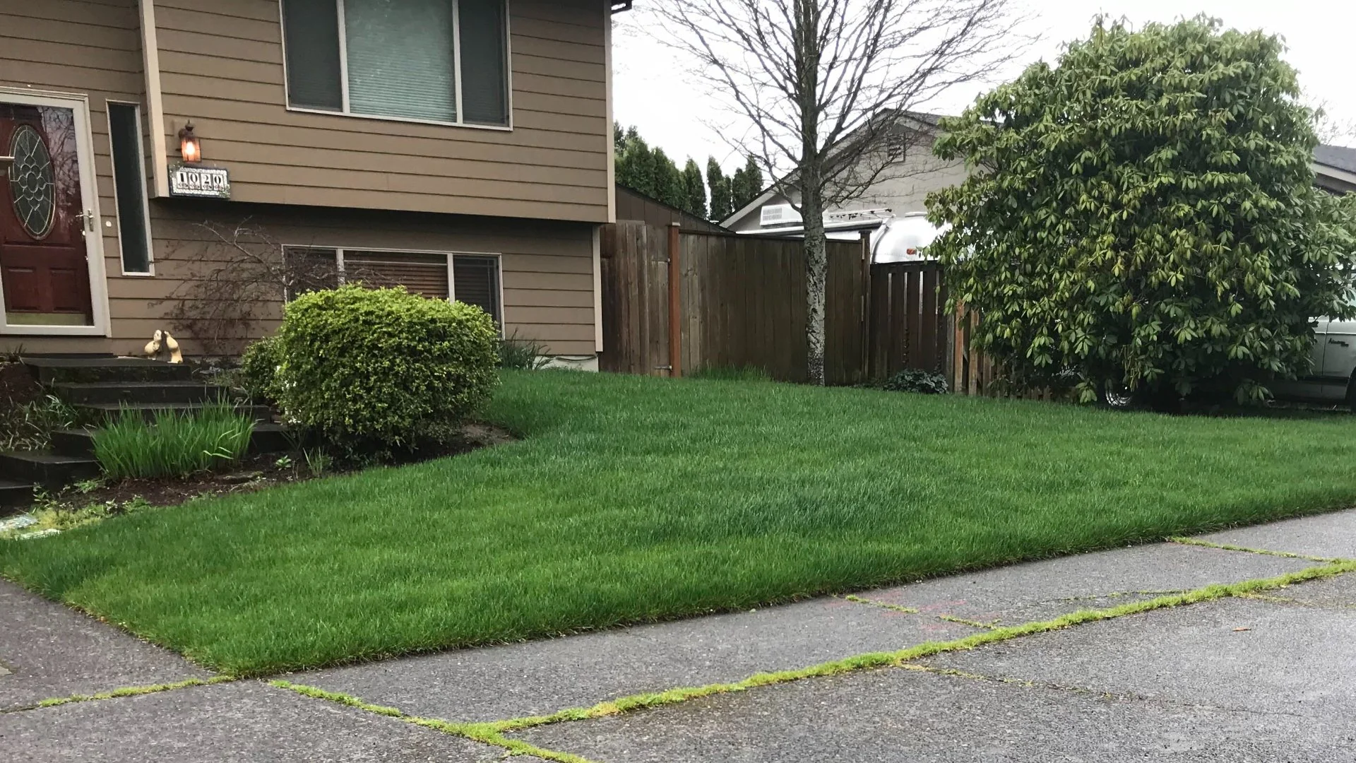 How Long Does It Usually Take to See Results From Overseeding?