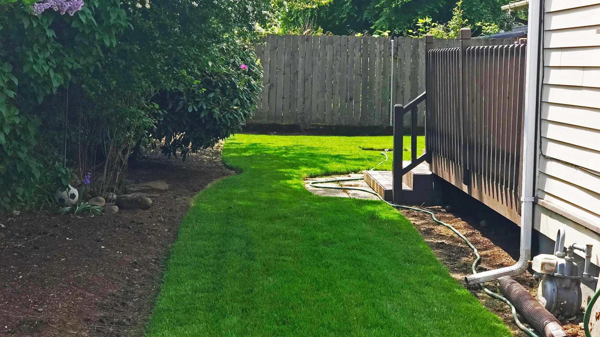 Is It Necessary to Apply a Pre-Emergent Weed Control Treatment in Spring?