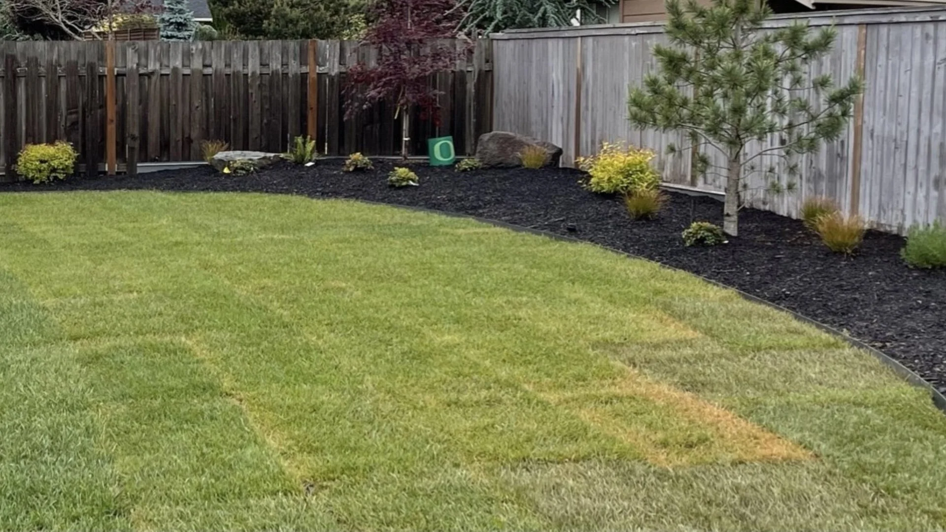 What Factors Affect the Cost of Professional Sod Installation?