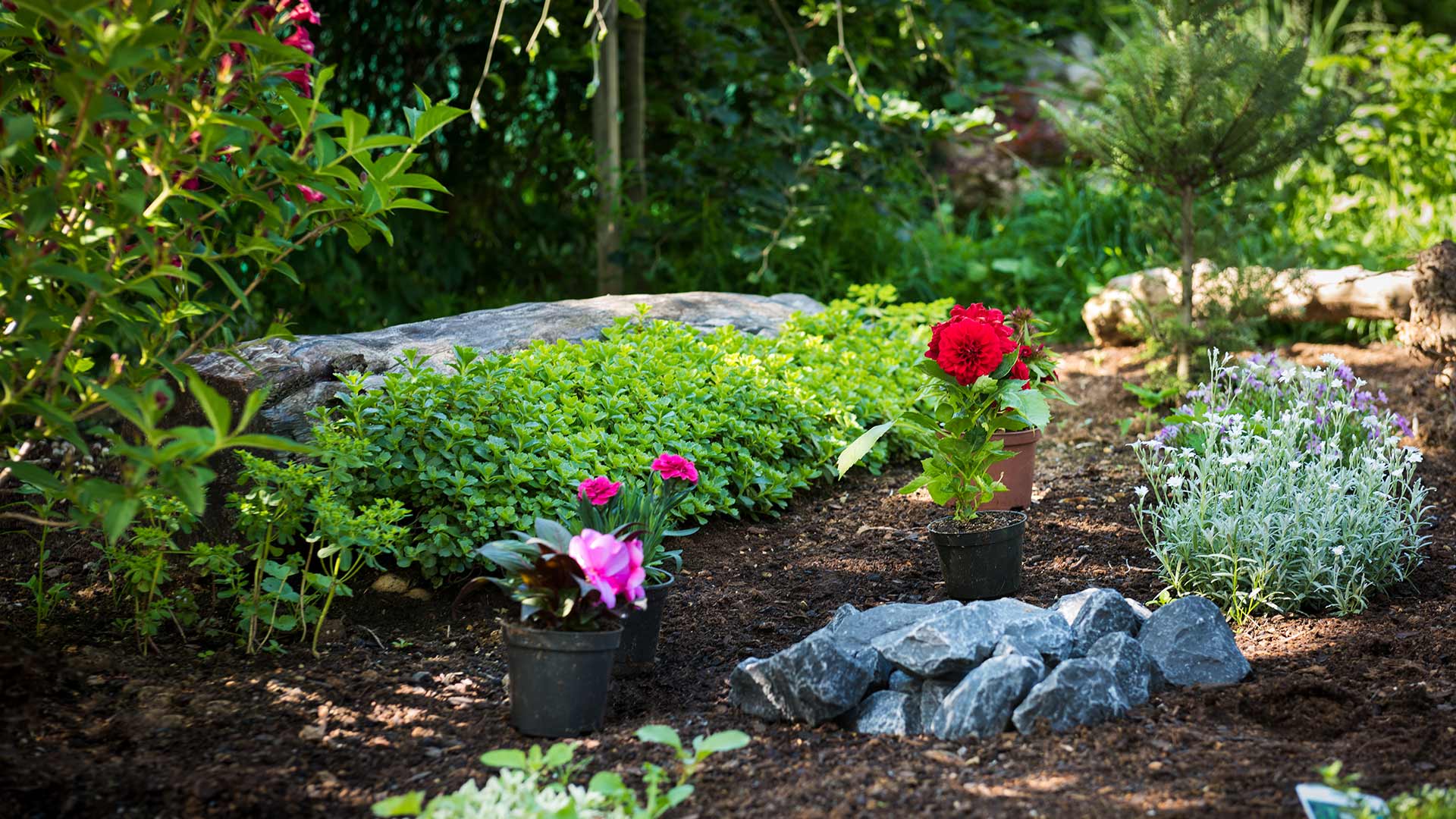 Increase the Beauty of Your Landscape Beds With These 3 Services