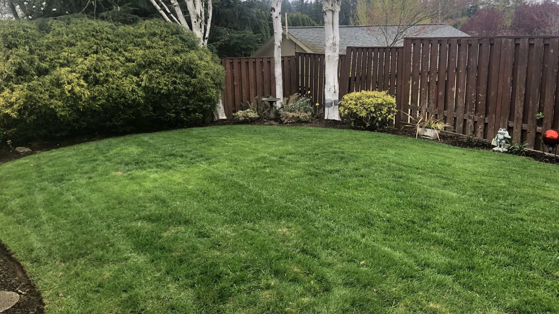 What to Look for When Picking a Company to Clean Up Your Yard in the Spring