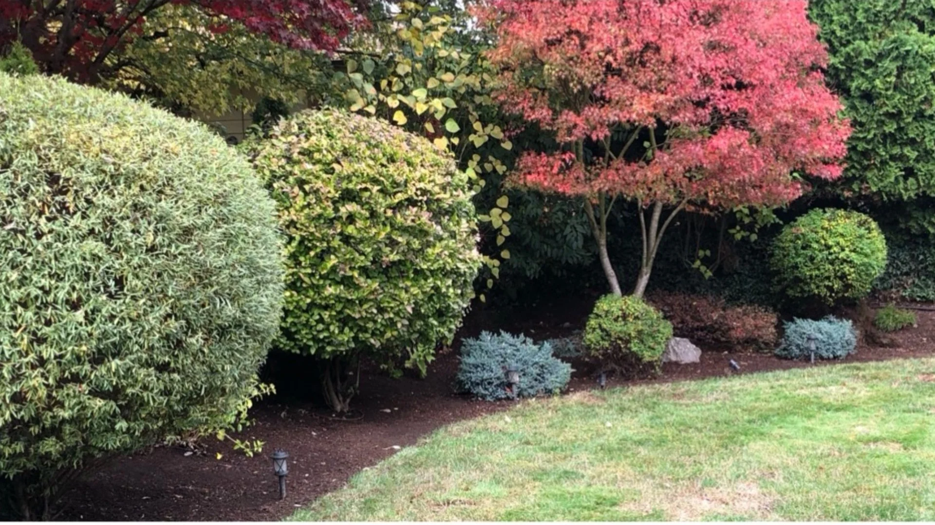 Important Considerations for Picking Plants for Landscape Beds