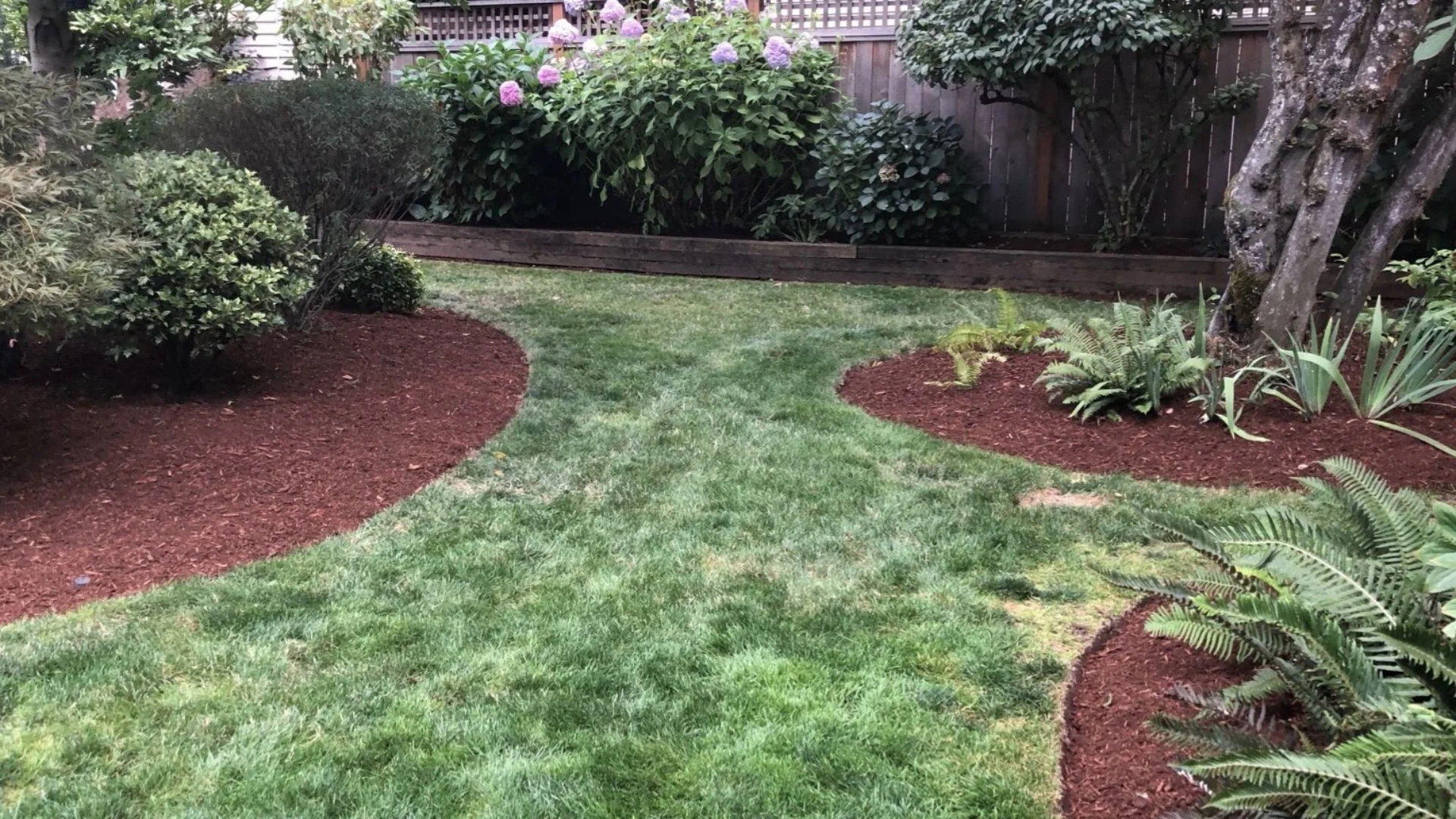 Tips to Consider if You Want to Create a Low-Maintenance Landscape