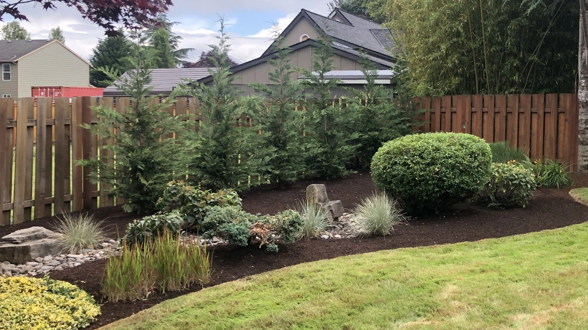 3 Evergreen Plants to Consider for Your Landscape