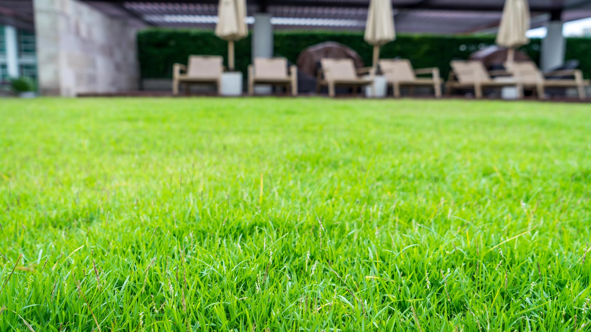 What Services Should Be Included in a Fall Cleanup?