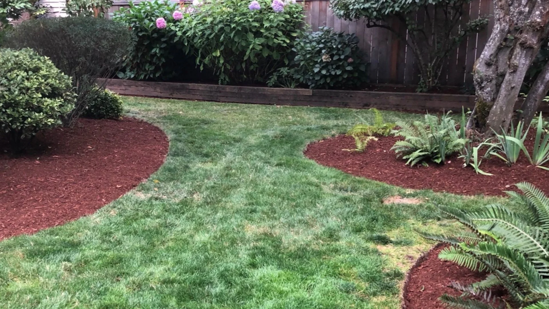 Will Mulch Prevent Weeds From Growing in Your Landscape?