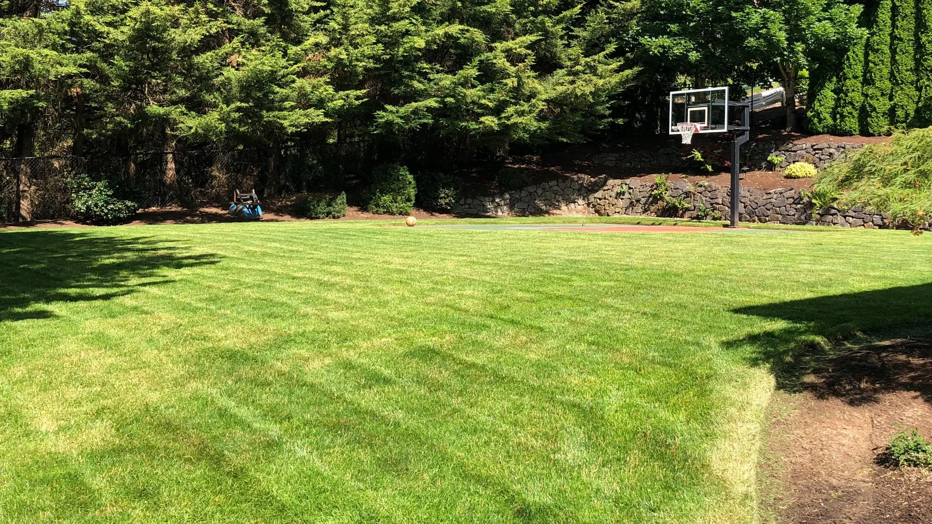 When Shouldn't You Fertilize Your Lawn?