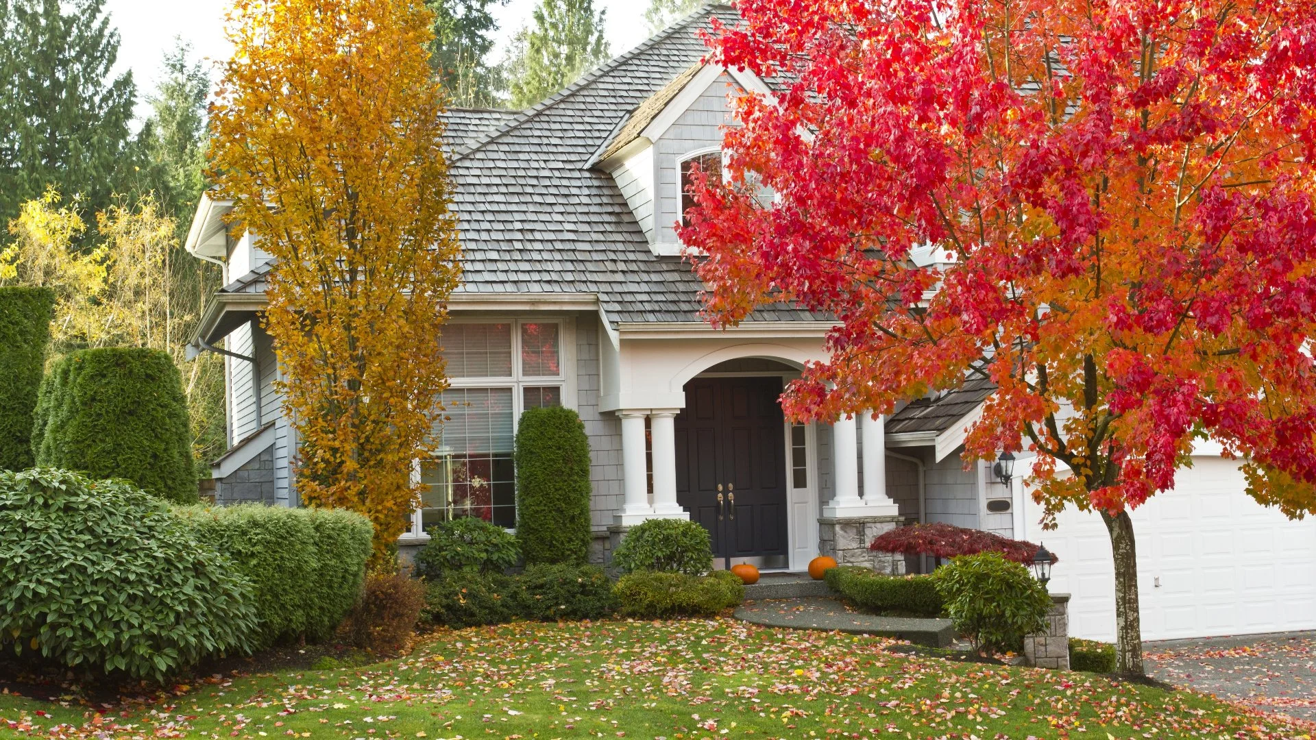 How Long Does It Take for Leaf Piles to Harm Your Lawn?