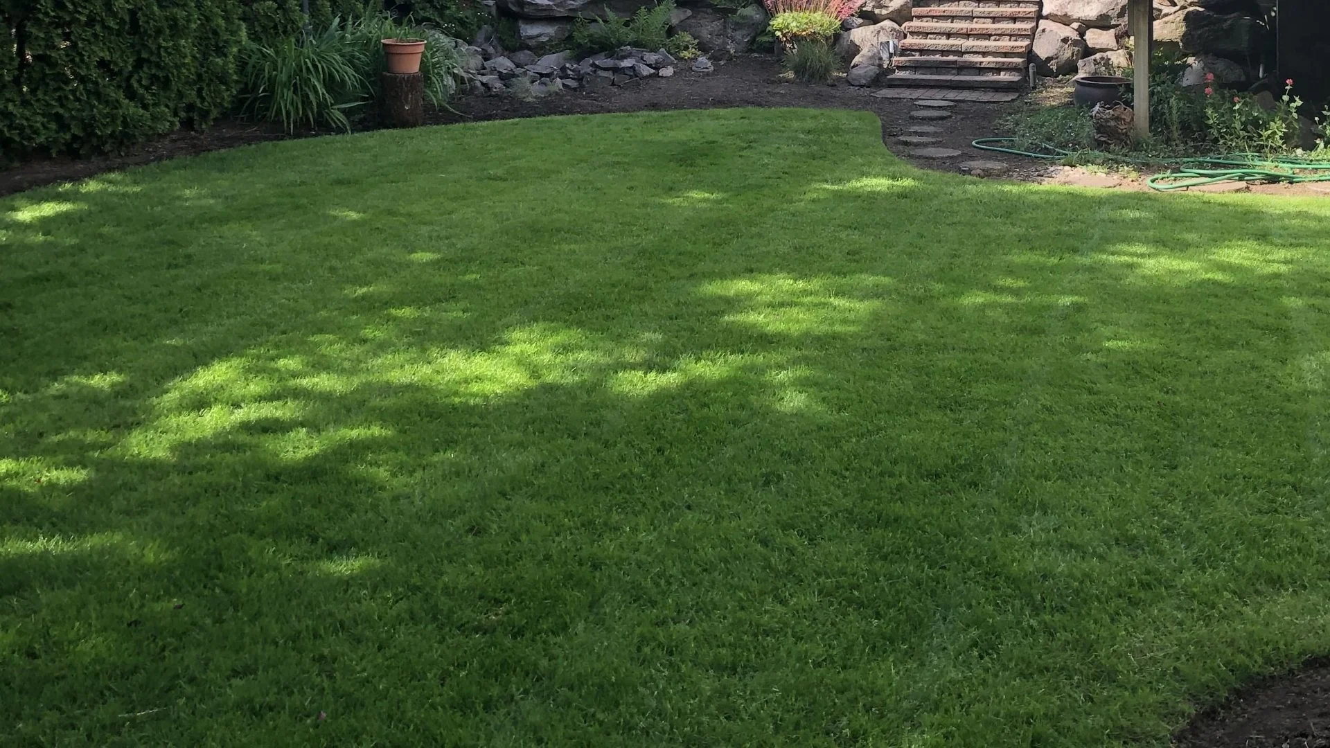 Spring Fertilization Is Important, but Don’t Apply It Too Early!