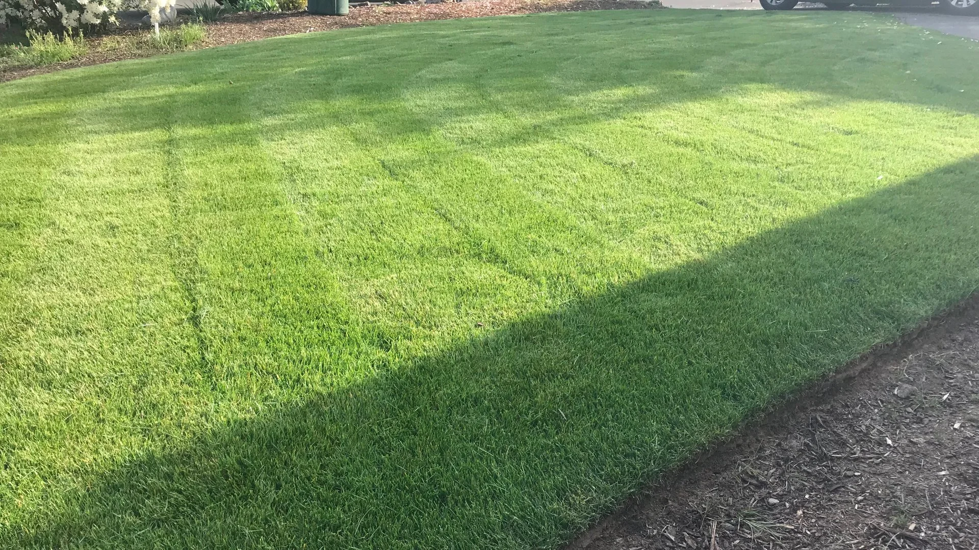What's a Good Grass Height to Maintain When Mowing?