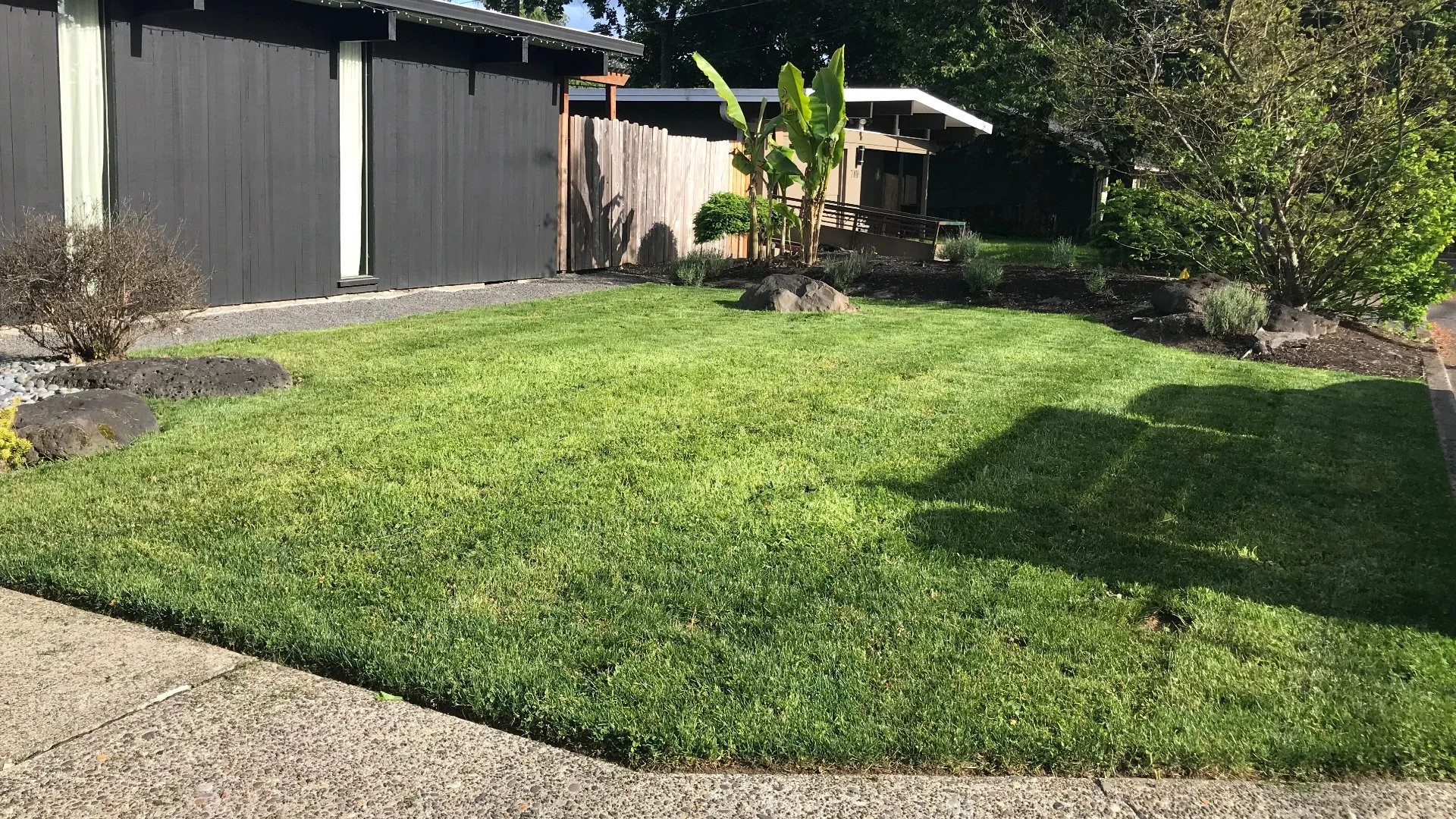 The 1/3 Rule: A Crucial Lawn Mowing Practice to Always Follow