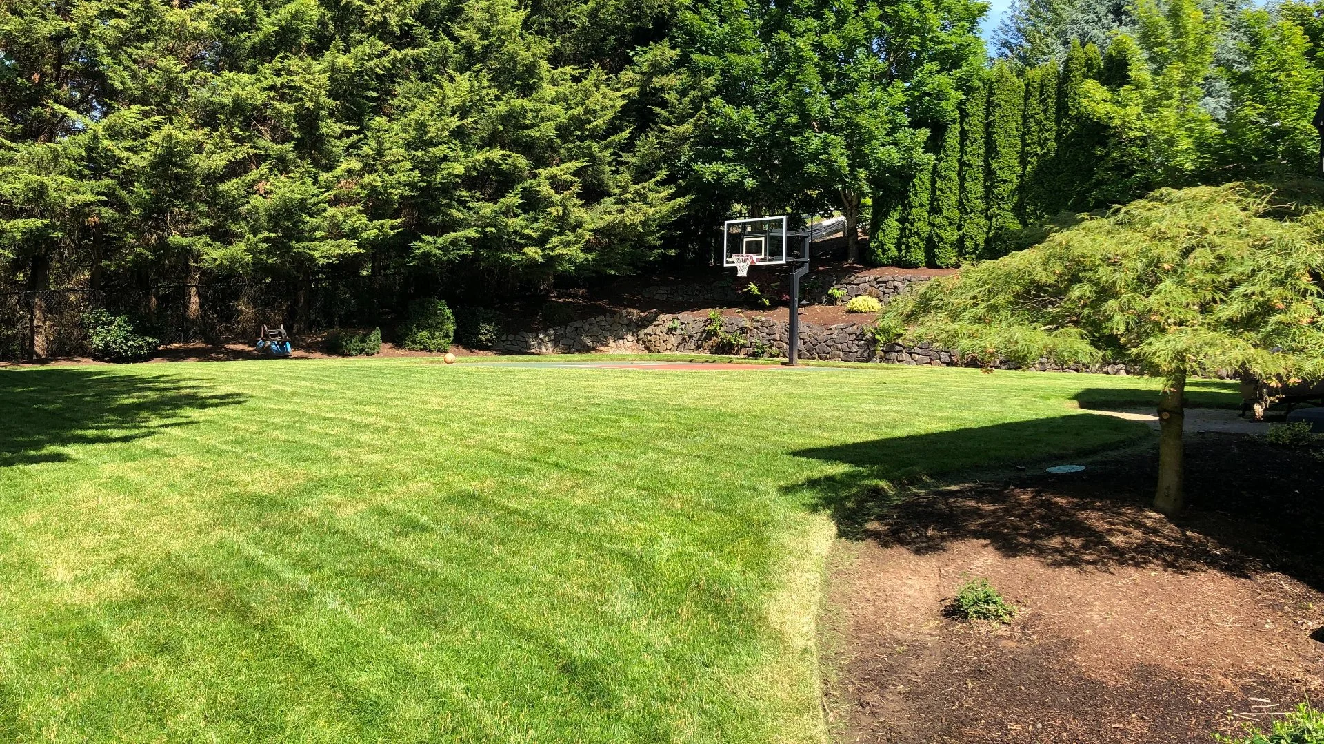 Should You Hire Pros to Handle Your Lawn Care?