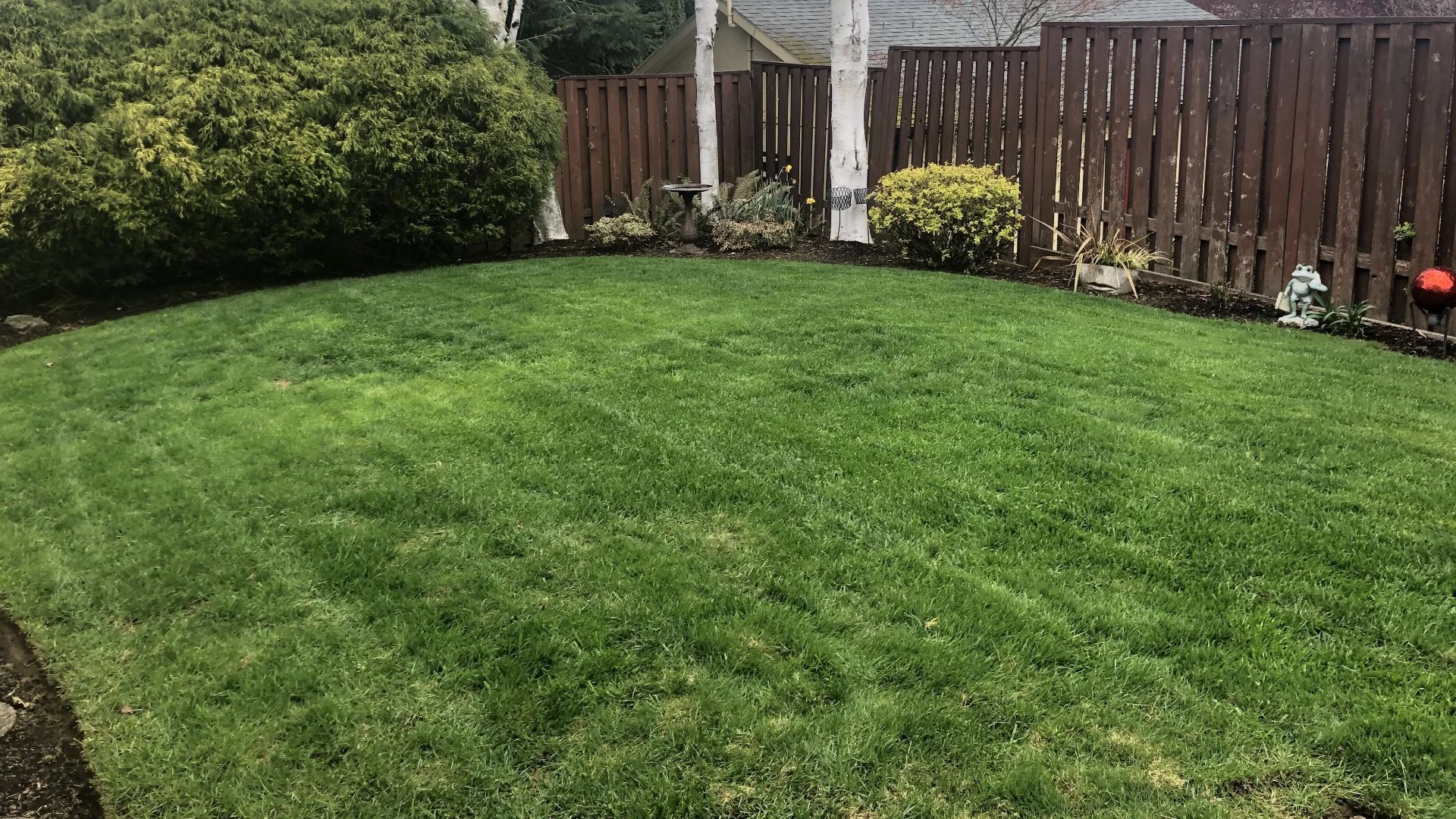 What's the Best Time of Day to Mow Your Lawn?