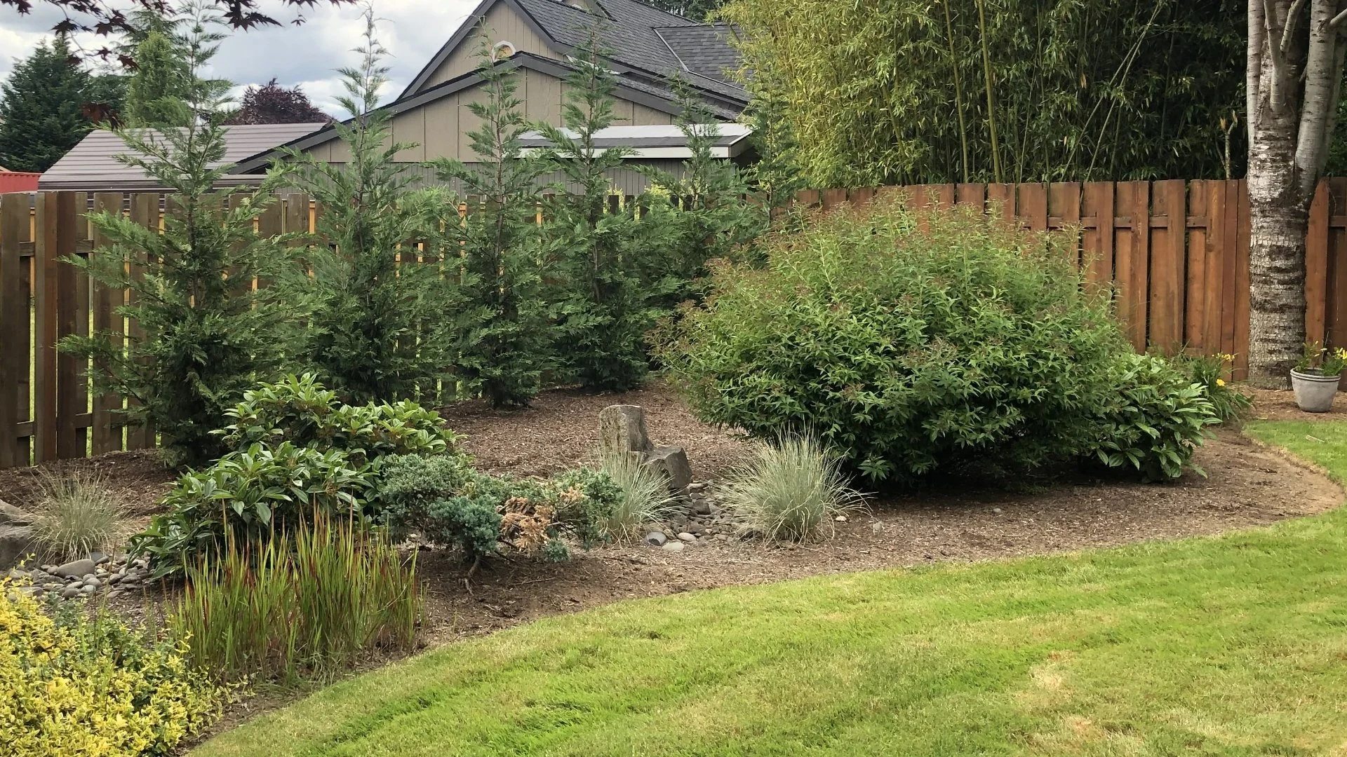 Is It Better to Use Native Plants for Your Landscape?