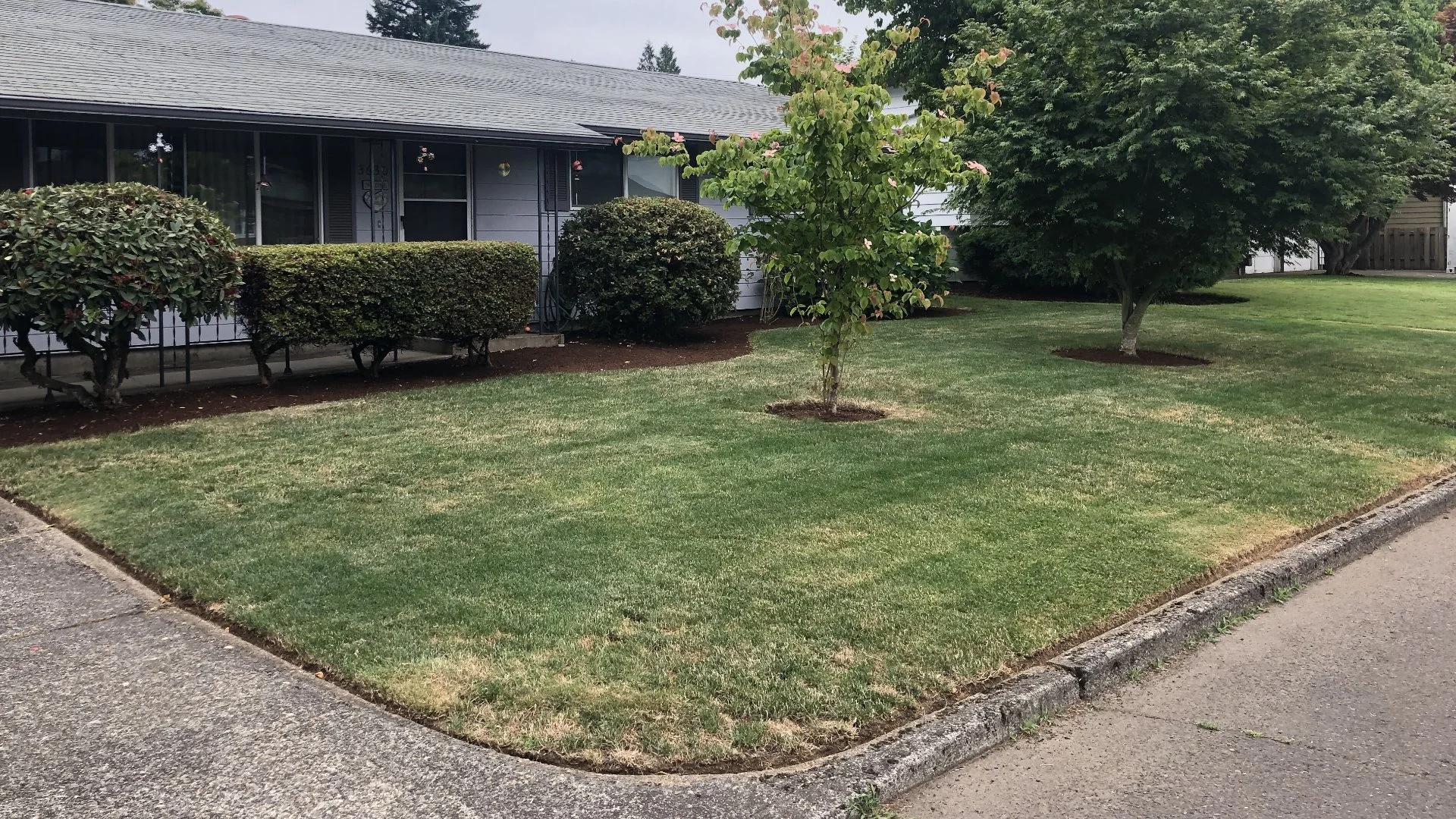 Why Aren't Your Fertilizer Treatments Working?