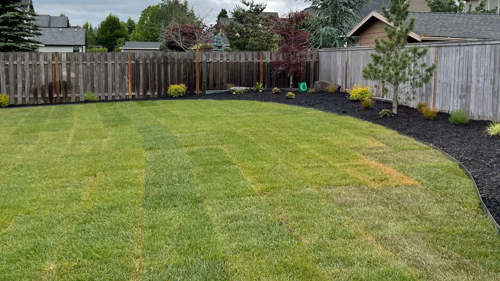 Does Sod Really Give You a New Lawn Instantly?