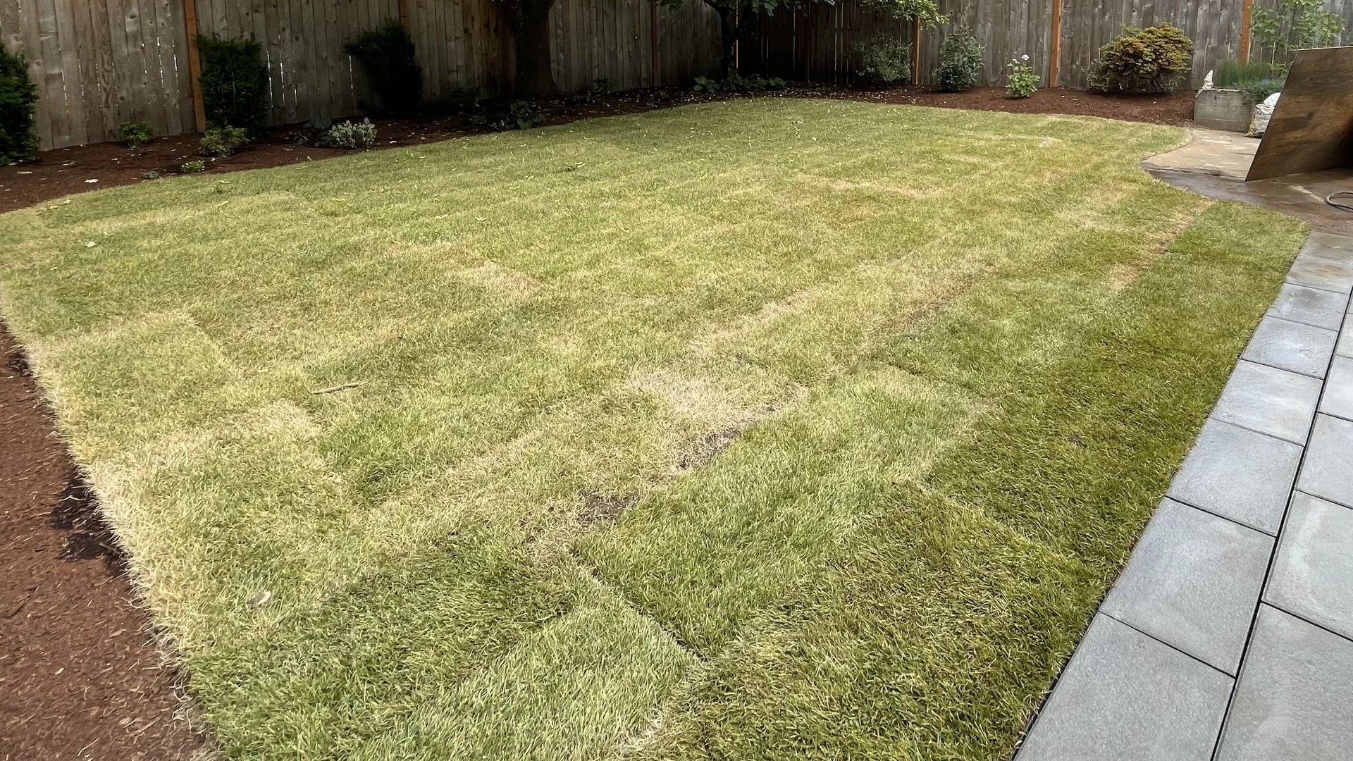 How to Prep Your Yard for Sod Installation