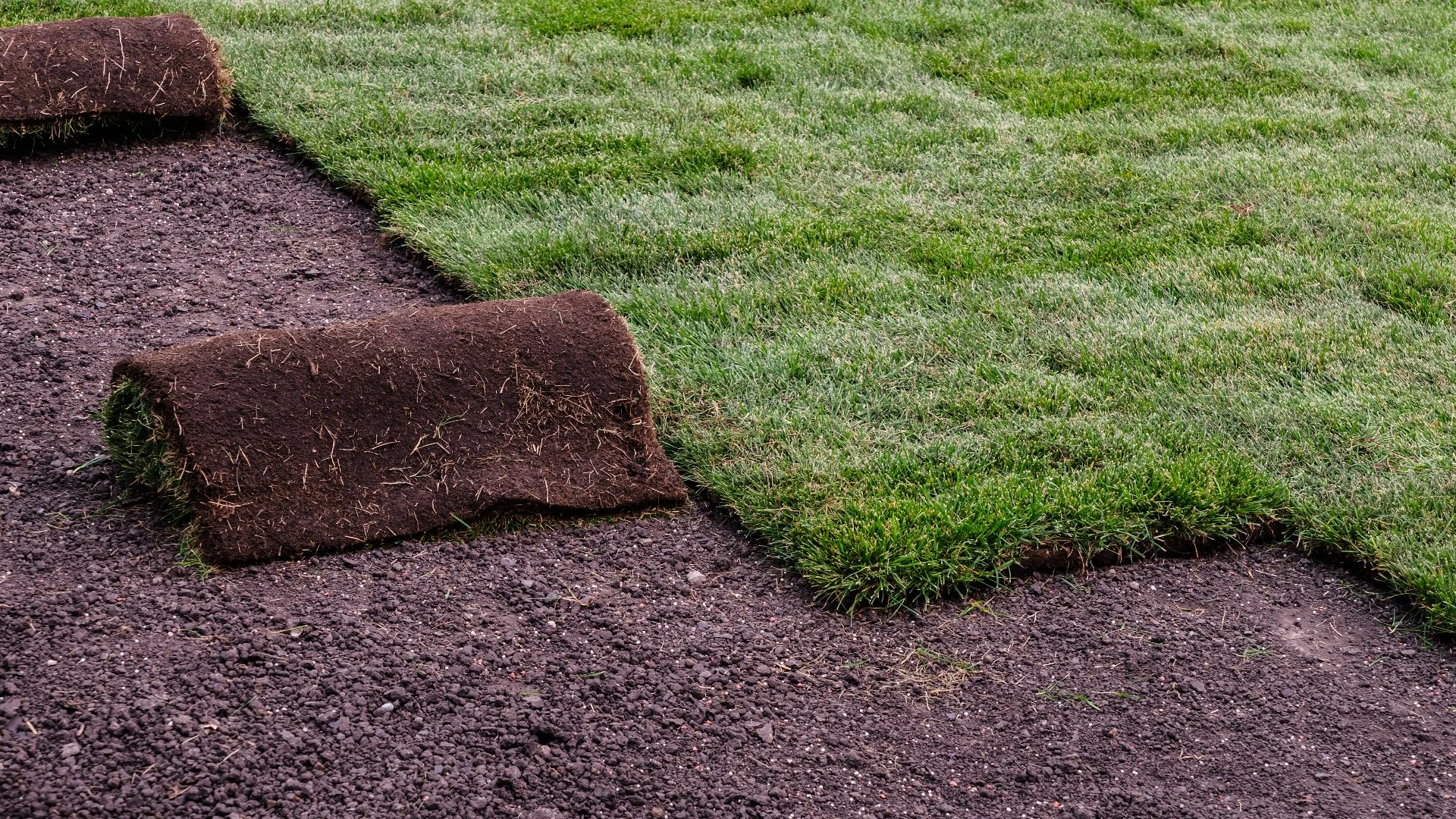 Follow This Watering Schedule for Your Newly Installed Sod