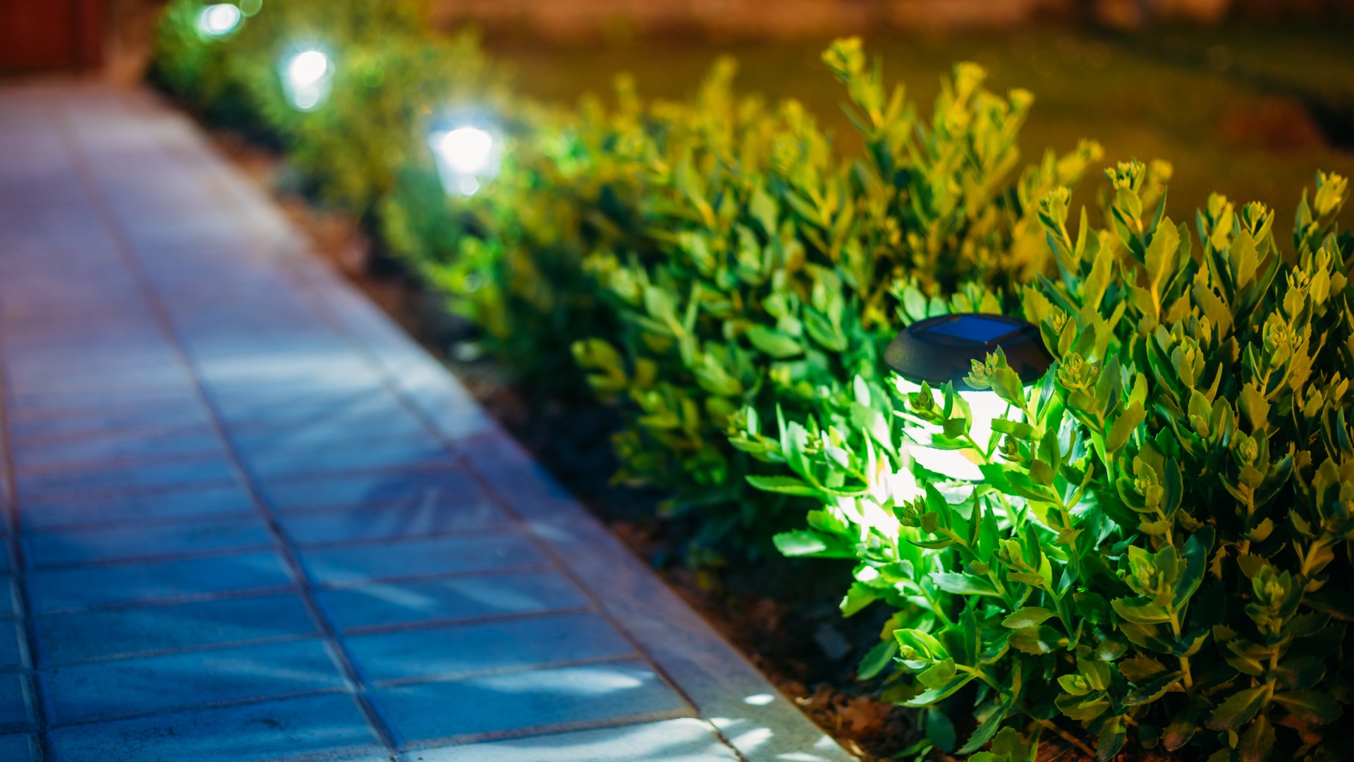 Outdoor lighting in landscape beds in Happy Valley, OR.