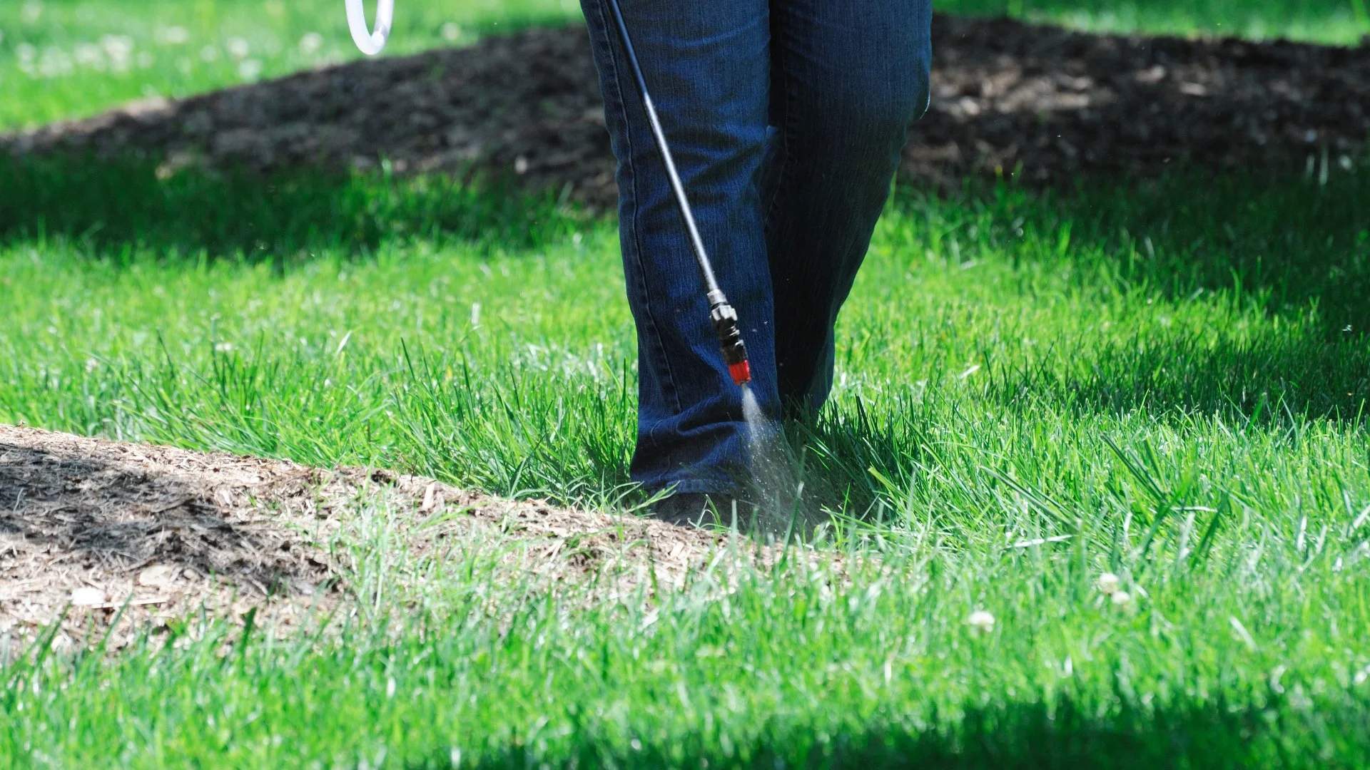 How Long Does It Take for Lawn Fertilization Treatments to Start Working?